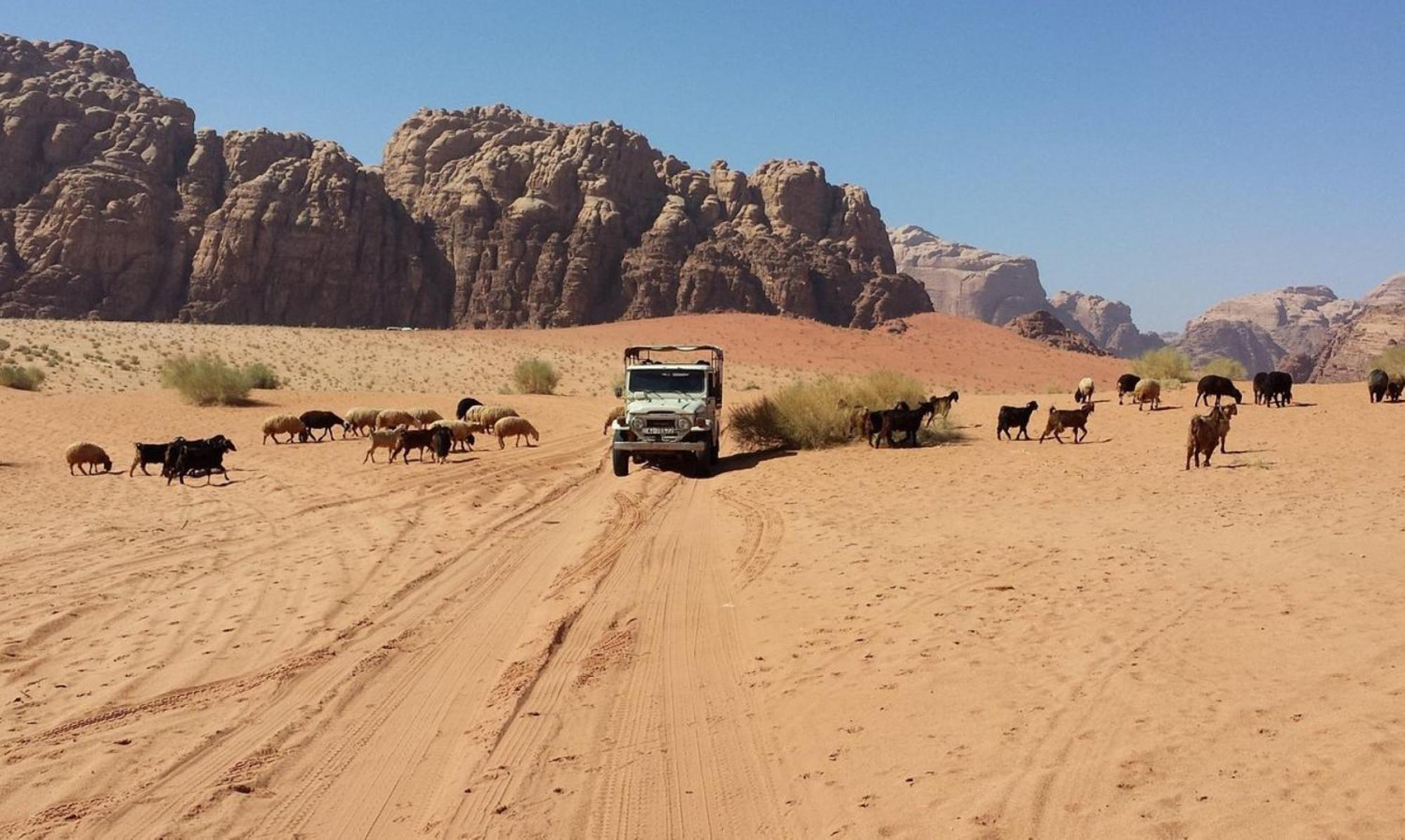 Authentic Bedouin Camp ワディ ・ラム エクステリア 写真